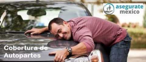 seguro-autopartes
