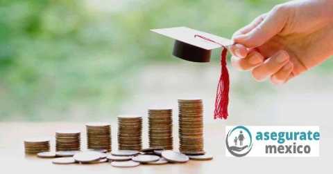 universidades-proyeccion