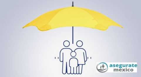 Seguro_de_Vida_Cotizar