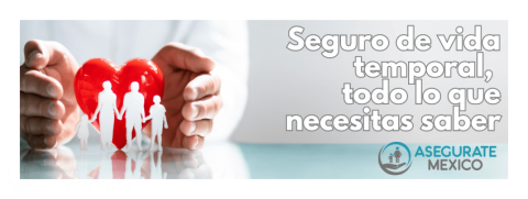 Seguro-de-vida-temporal-todo-lo-que-necesitas-saber