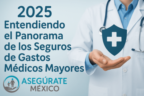2025Panorama-Seguros-GMM