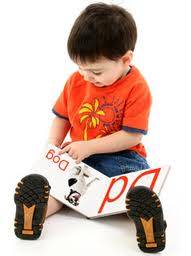 Profesional de GNP, Que es y para que sirve