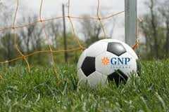 GNP, Vivir es Increible