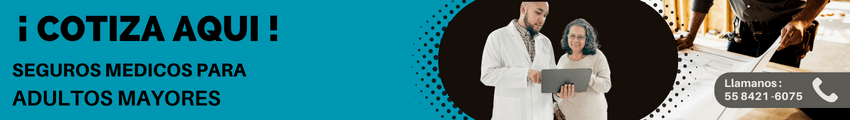 Gastos Medicos Adultos Mayores