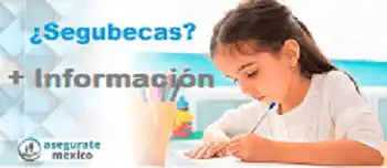 Seguro Universitario