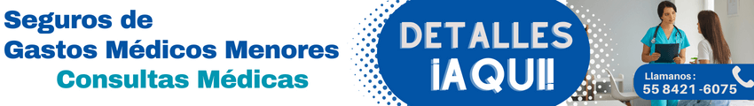 Gastos Medicos Menores