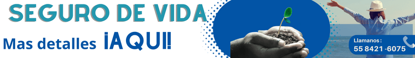 Seguro de Vida Cotiza Aqui